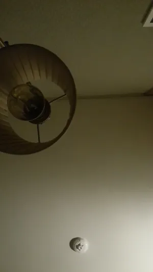 삼촌뻘 아재랑 비밀연애하는 어린처자 얼공풀팩  국산야동 한국야동