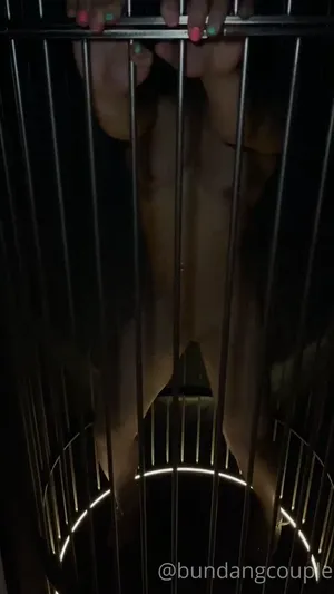 철창안 새가 되고 싶은 분당노예녀  한국야동 국산야동