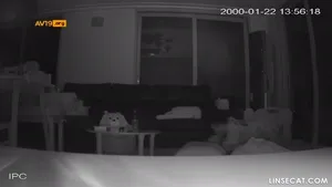 신작IP ✨ 거실섹스 부부 .  국산야동 한국야동