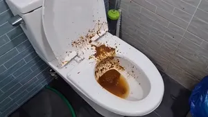 똥 싸는 조복서 (엽기극혐 주의)  국산야동 한국야동