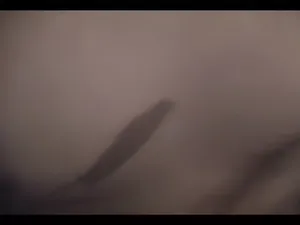 ip홈캠야동 부유층처럼 보이는 부부 넓은 거실 소파에서  국산야동 한국야동