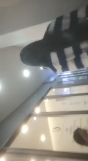 신작 장주 MHG-002 실사게임  국산야동 한국야동